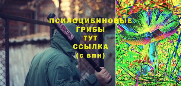 соль ск Протвино