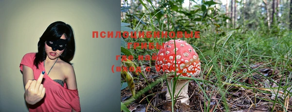 кокс Приозерск