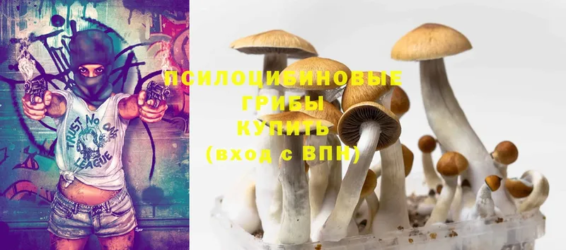 Галлюциногенные грибы MAGIC MUSHROOMS Электроугли